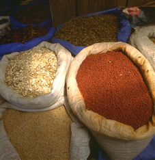 Egyptian Agricultural Products